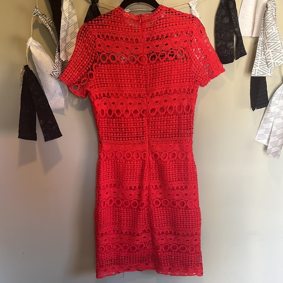 Parisian Tall High Neck Short Sleeve Lace Shift Dress - Picture 5 of 5